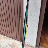 Sci da fondo squamati