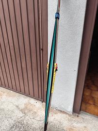 Sci da fondo squamati