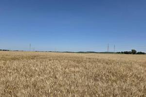 Terreno di 200130 m² a Tarquinia