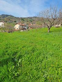 Terreno edificabile a pianezze