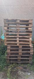 Pallet