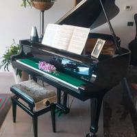 Steinbach - Pianoforte a coda da studio