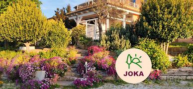 Conero: appartamentini collina vicini al mare