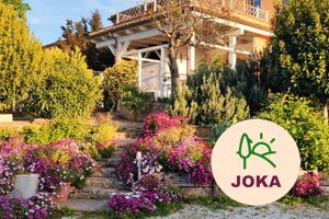 Conero: appartamentini collina vicini al mare