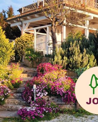 Conero: appartamentini collina vicini al mare