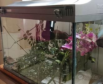 terrario 