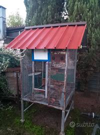 gabbie e voliere per animali 