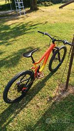 MTB giant reign