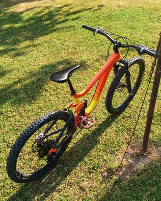 MTB giant reign