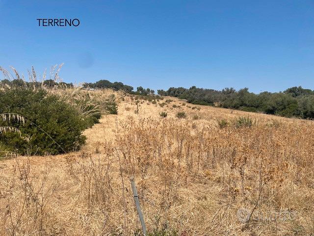 Terreno agricolo /vigneto - Vista 2