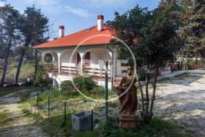 Villa di 295 m² con più di 5 locali a Pescara