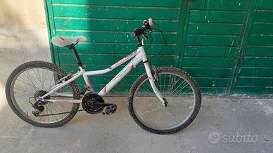 bicicletta