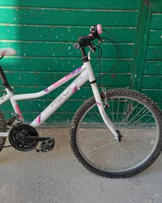 bicicletta