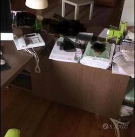 Scrivania da ufficio con libreria