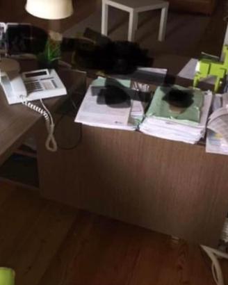 Scrivania da ufficio con libreria