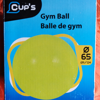 Gym ball 65cm di raggio