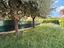 Immagine 18