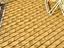 Immagine 16