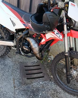 Beta rr 50 (TPR 86)