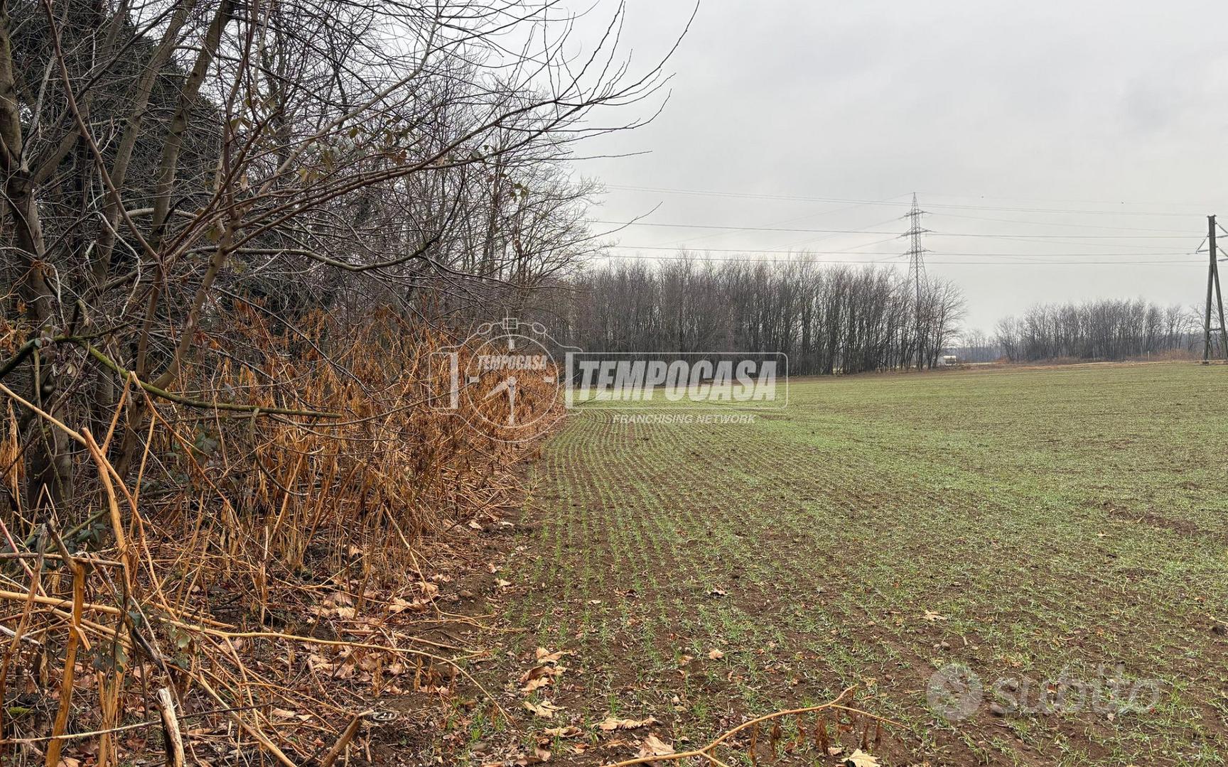 TERRENO AGRICOLO BORSANO - Vista 4