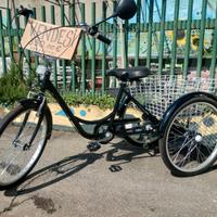 Triciclo per piccoli carichi