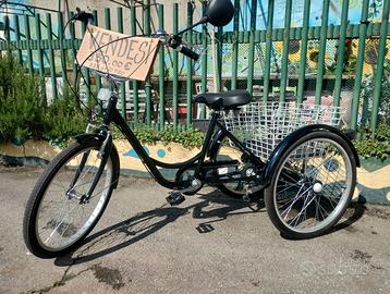 Triciclo per piccoli carichi