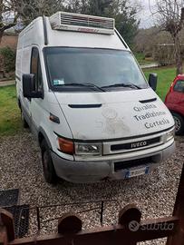 Iveco refrigerato