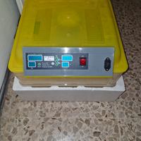 incubatrice NUOVAA
