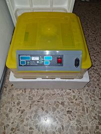 incubatrice NUOVAA