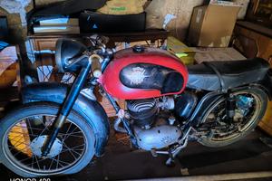 MV AUGUSTA 