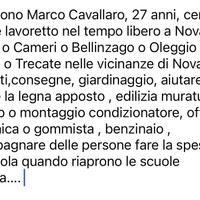 Lavapiatti,giardiniere,edilizia,meccanico