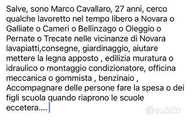 Lavapiatti,giardiniere,edilizia,meccanico