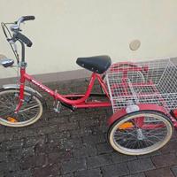 bicicletta a tre ruote per adulti