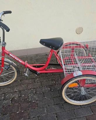 bicicletta a tre ruote per adulti