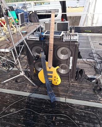 2 casse hartke 210 tp x immediato realizzo 