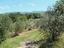 Immagine 11