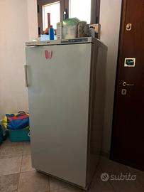 Freezer usato poco