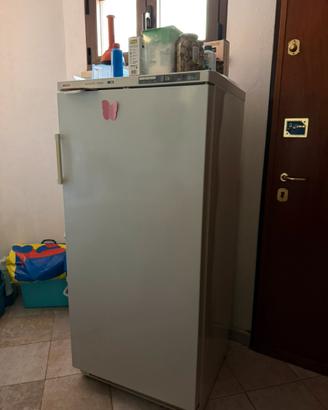 Freezer usato poco