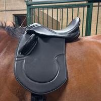 Sella inglese da dressage