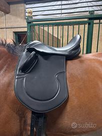 Sella inglese da dressage