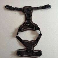 Guinzaglio per gatto