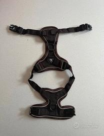 Guinzaglio per gatto