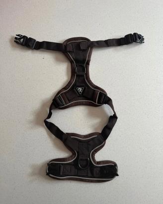 Guinzaglio per gatto