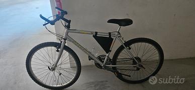 bicicletta 