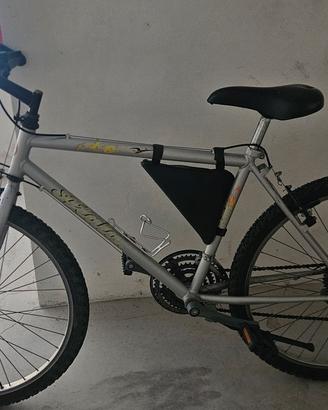 bicicletta 