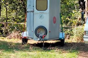 trailer cavalli bertuola