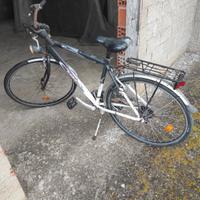 Bicicletta da passeggio 