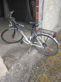 Bicicletta da passeggio 