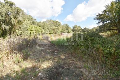 Terreno Agricolo Berchidda [Cod. rif 3263051VCG]