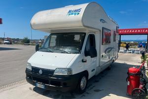 Camper Mc Louis 641